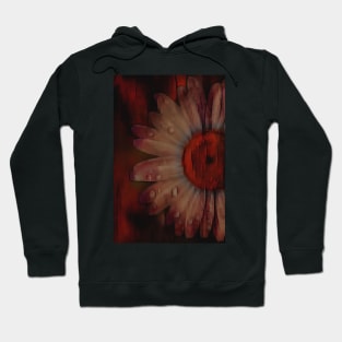 Wallflower Hoodie